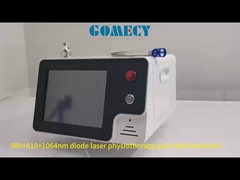 Diodenlaser 980Nm 810nm 650nm 1064nm Klasse 4 Laserschmerzmittel Lasertherapie Physiotherapie